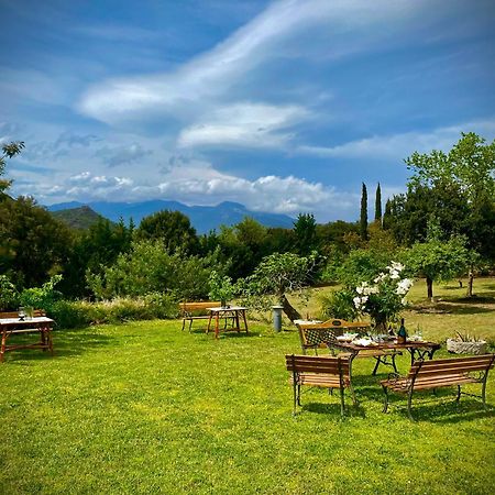 Masia Mimosa Darnius Dış mekan fotoğraf