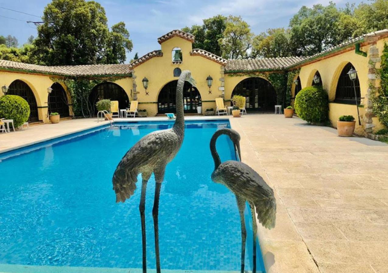 Masia Mimosa Darnius Dış mekan fotoğraf