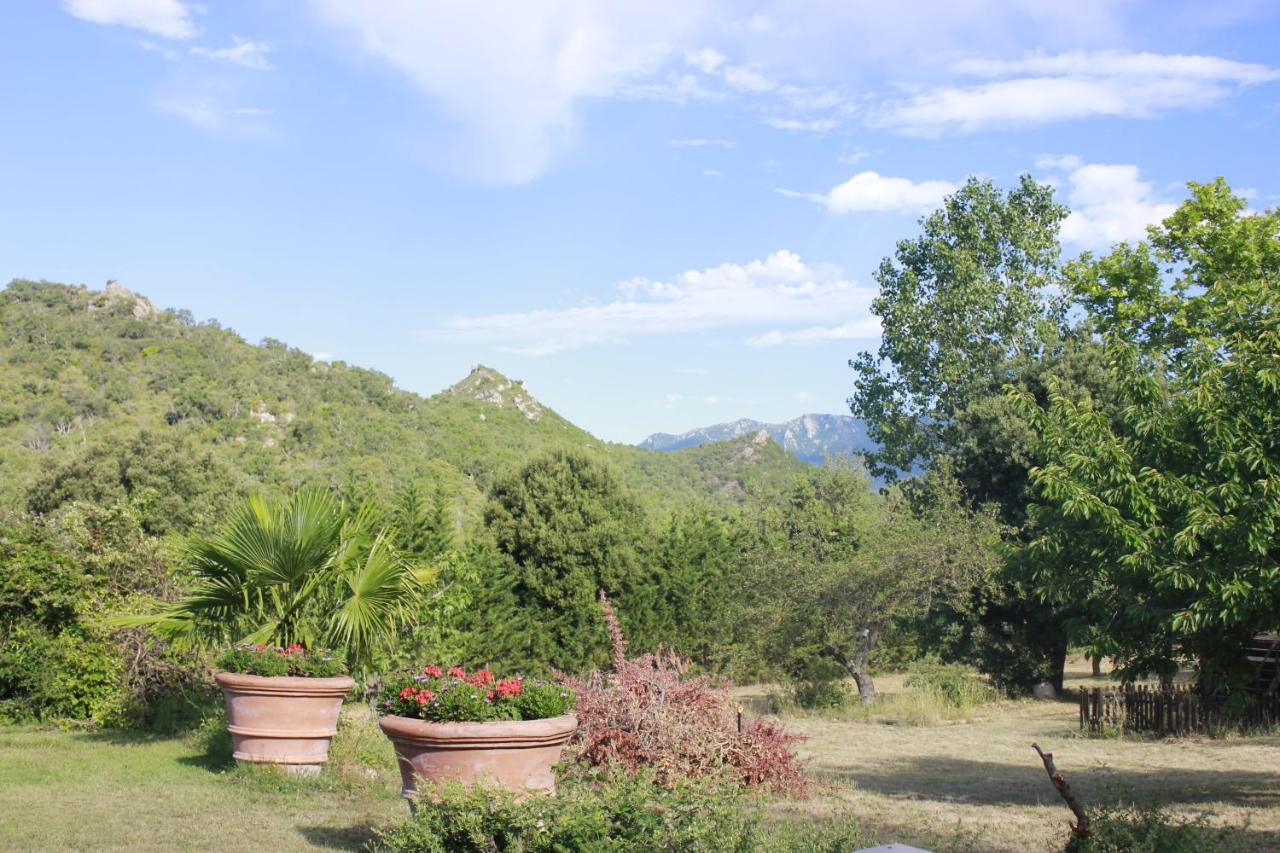Masia Mimosa Darnius Dış mekan fotoğraf