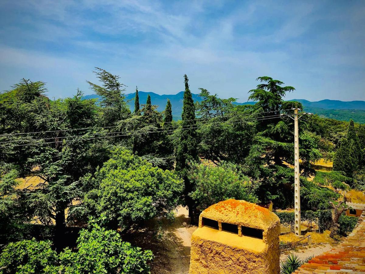 Masia Mimosa Darnius Dış mekan fotoğraf